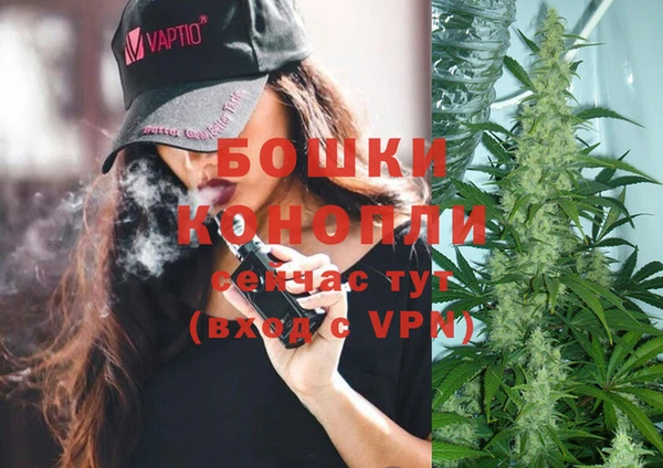 mdpv Алзамай